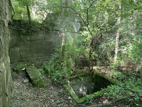 Overgrown ruins in a forest, featuring moss-covered stone walls and a small, empty pool surrounded by greenery.