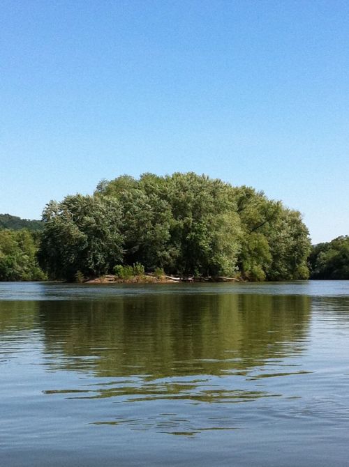 A serene lake scene featuring a small island lush with trees, reflecting in the calm water under a clear blue sky.