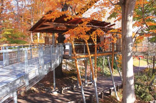 A wooden treehouse with a ramp, surrounded by vibrant autumn foliage and trees.