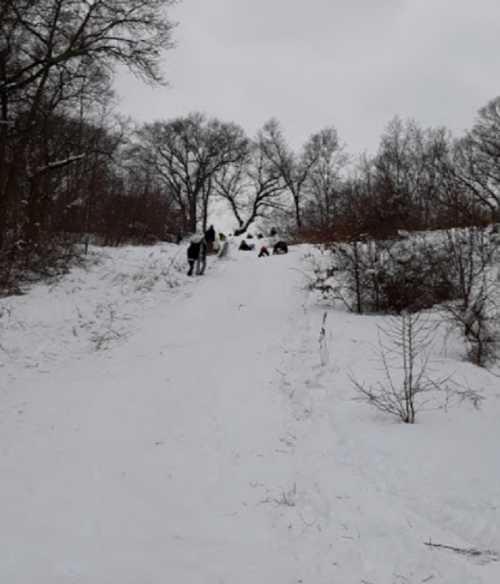 People sledding down a snowy hill surrounded by trees on a winter day.