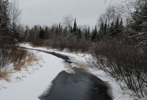 A winding river flows through a snowy landscape, surrounded by trees and shrubs under a cloudy sky.