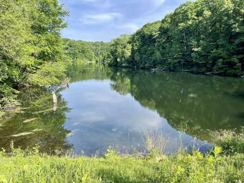 A serene lake surrounded by lush green trees, reflecting the blue sky and clouds above.