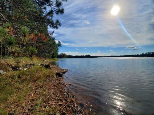 A serene lakeside view with trees, grass, and a bright sun reflecting on the water under a partly cloudy sky.