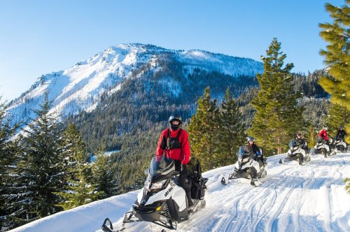 A group of snowmobilers rides through a snowy landscape with mountains and pine trees in the background.