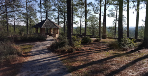 A stone gazebo surrounded by tall pine trees, with a winding path leading through a serene forest landscape.