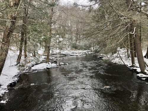 A serene river flows through a snowy forest, with bare trees lining the banks and a peaceful winter atmosphere.