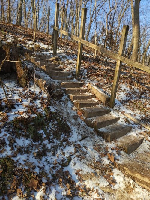 Wooden steps lead up a snowy hillside, surrounded by trees and fallen leaves under a clear blue sky.