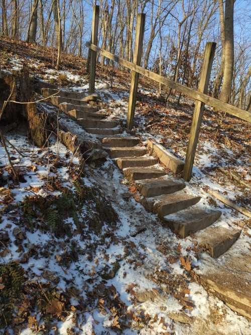 Wooden steps lead up a snowy hillside, surrounded by trees and fallen leaves under a clear blue sky.