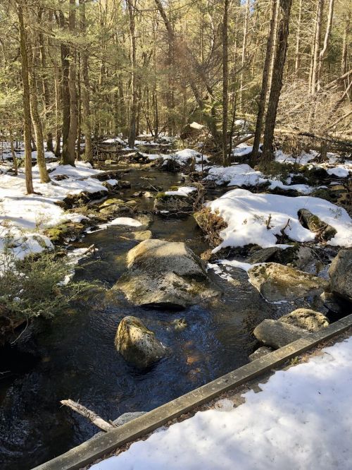 A serene forest scene with a flowing stream, snow-covered rocks, and trees in a winter landscape.