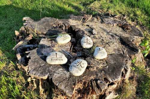 Five stones with symbols placed on a tree stump, surrounded by grass.