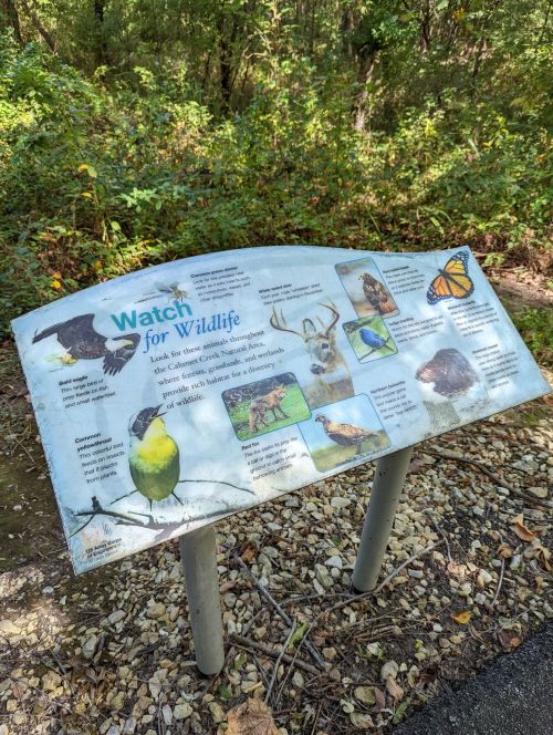 Sign titled "Watch for Wildlife" featuring illustrations of various animals and tips for observing wildlife in nature.