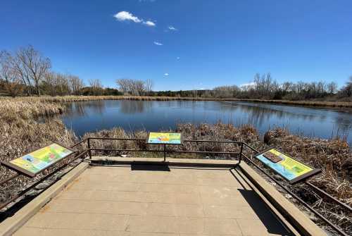 View of a serene pond surrounded by tall grasses, with informational signs on a viewing platform under a clear blue sky.