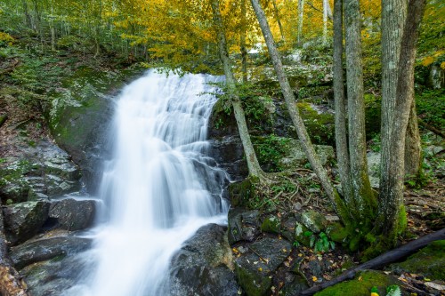 A serene waterfall cascades over rocks, surrounded by lush greenery and autumn-colored trees.