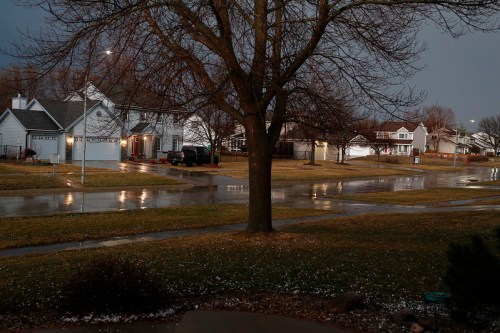 A quiet suburban street at dusk, with wet pavement reflecting lights and a large tree in the foreground.