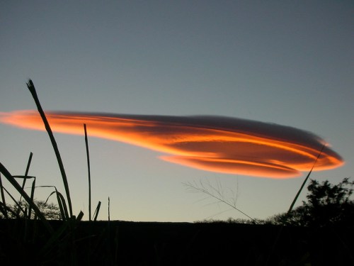A dramatic cloud formation with a glowing orange edge against a twilight sky, framed by tall grass.
