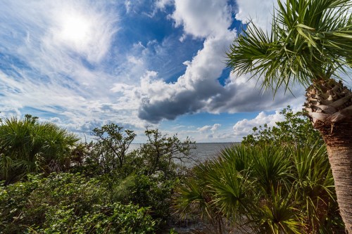 A scenic view of a coastal landscape with palm trees, lush greenery, and a cloudy sky over the water.