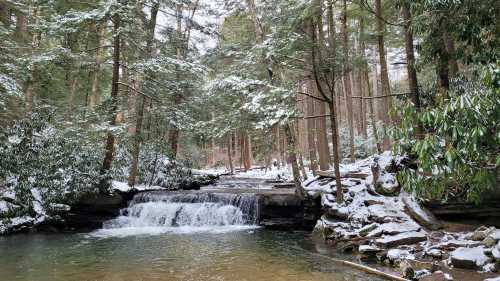 A serene winter scene of a small waterfall surrounded by snow-covered trees and greenery.