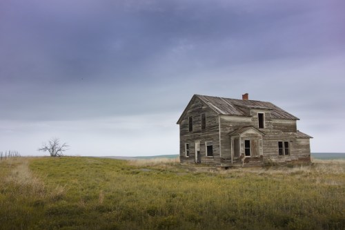 Abandoned wooden house in a grassy field under a cloudy sky, with a lone tree in the background.