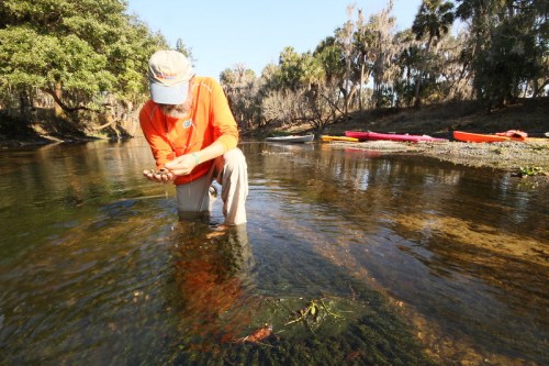 A person kneels in shallow water, examining something in their hands, with kayaks visible on the shore nearby.