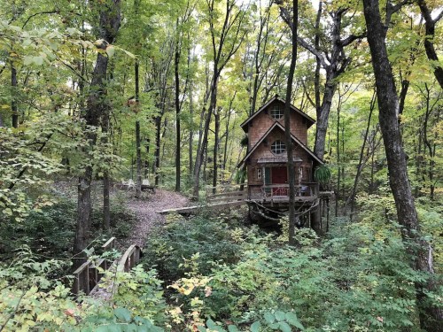 A charming wooden treehouse nestled among lush green trees in a serene forest setting.