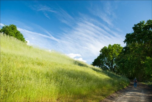 A scenic landscape featuring a grassy hill, blue sky, and a person walking along a dirt path.