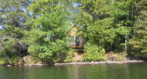 A cozy cabin surrounded by lush green trees, situated by a calm lake under a clear blue sky.