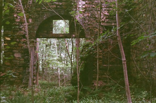 An overgrown stone archway surrounded by trees and foliage in a forested area.