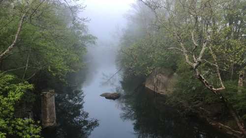 A serene river surrounded by lush greenery and fog, creating a tranquil, misty atmosphere.