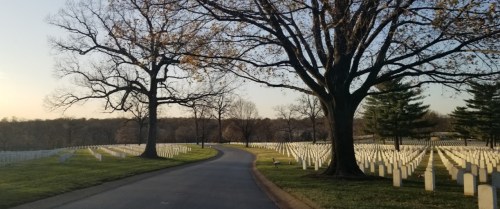 A serene cemetery scene with white headstones lining a winding road, framed by large trees and a peaceful landscape.