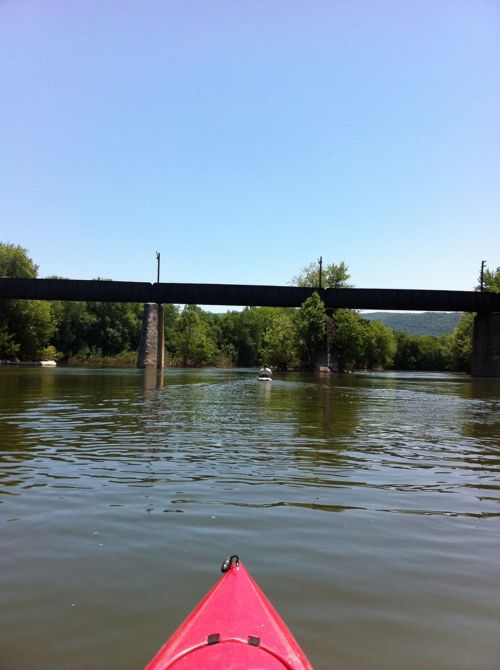 A view from a kayak on a calm river, with a bridge overhead and lush greenery along the banks.