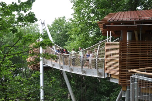 A group of people stands on a suspended walkway surrounded by trees, leading to a wooden structure.