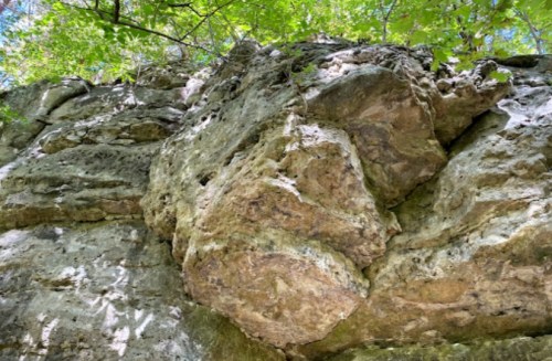 Close-up of a rugged rock face with greenery above, showcasing natural textures and formations.