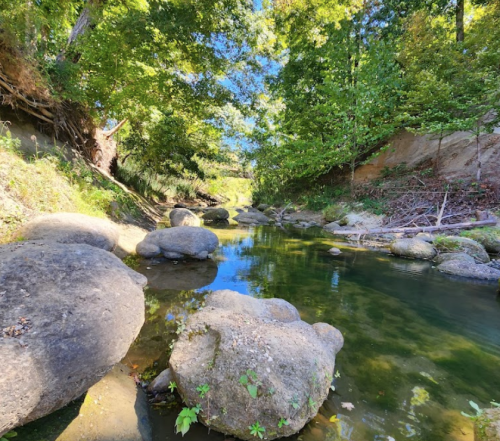 A serene river scene with smooth rocks and lush green trees reflecting in the water under a clear blue sky.