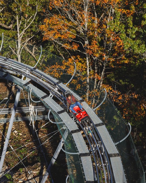A person rides a small roller coaster on a track surrounded by trees with autumn foliage.