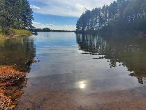 A serene lake surrounded by trees, reflecting the sky and sunlight on the water's surface.