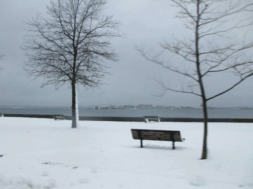 A snowy landscape featuring bare trees, a bench, and a calm body of water under a gray sky.