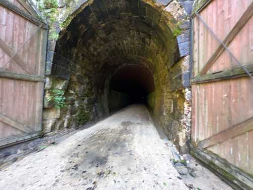 A dark tunnel entrance with stone walls and wooden doors, leading into an unknown space.