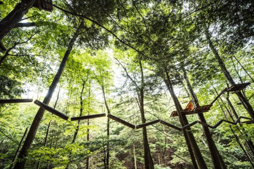 A treetop adventure course with wooden bridges and platforms among lush green trees.