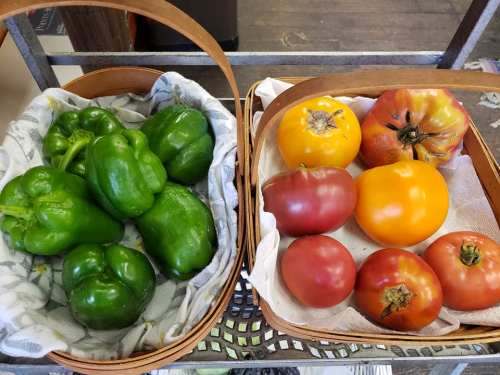 Two baskets of fresh produce: one with green bell peppers and the other with various ripe tomatoes in different colors.