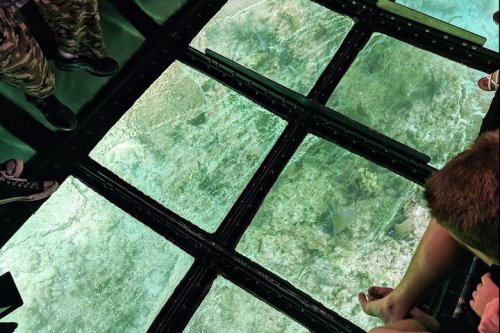 View from above a glass-bottomed boat, showcasing clear water and visible underwater scenery.