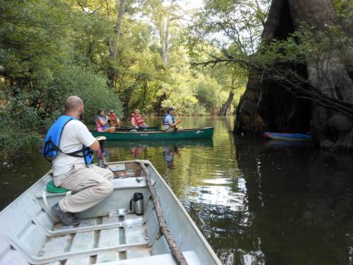 A group of people kayaking in a serene, wooded area with calm waters and lush greenery surrounding them.