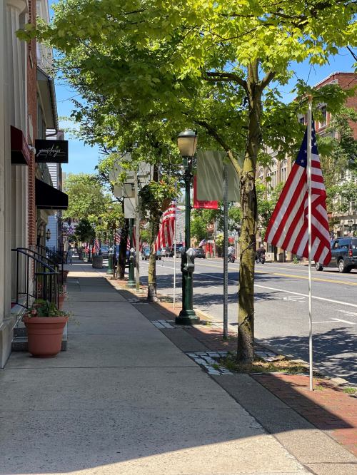 A sunny street lined with trees and American flags, featuring shops and parked cars in the background.