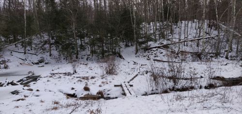 A snowy landscape with scattered trees, fallen logs, and a small stream running through a forested area.