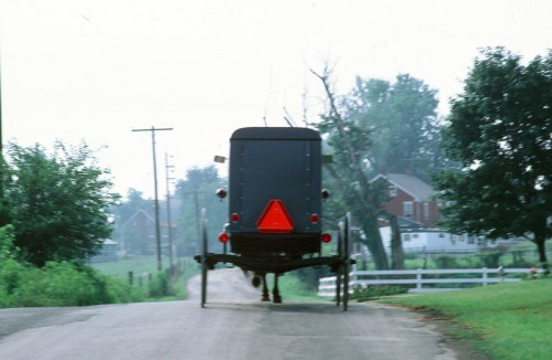A black horse-drawn buggy travels down a rural road, surrounded by greenery and distant farmhouses.