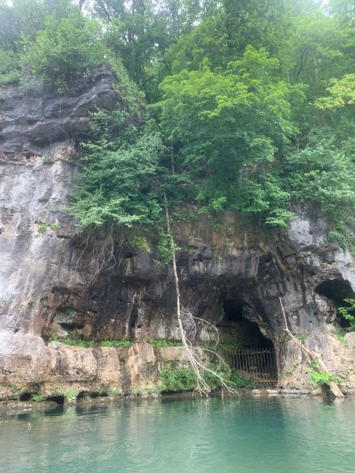 A rocky cliff with lush green trees and a dark cave entrance near a calm body of water.