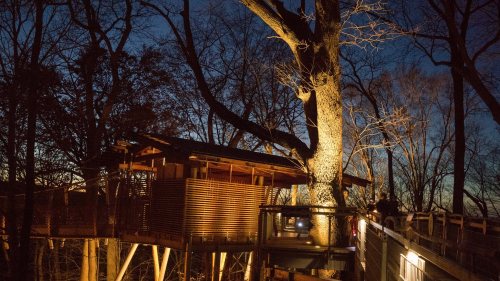 A treehouse illuminated at dusk, surrounded by bare trees and a twilight sky.