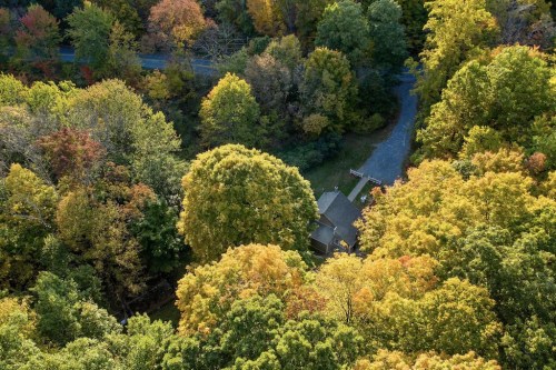 Aerial view of a vibrant autumn forest with colorful trees and a small house nestled among them.