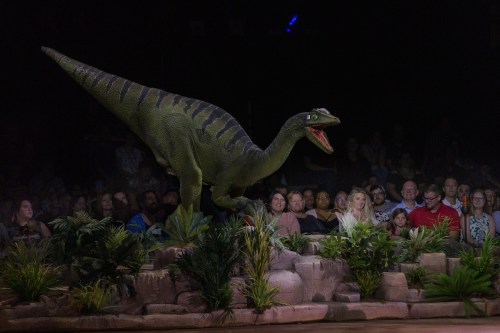 A lifelike dinosaur animatronic roars in front of an audience surrounded by greenery and rocks.