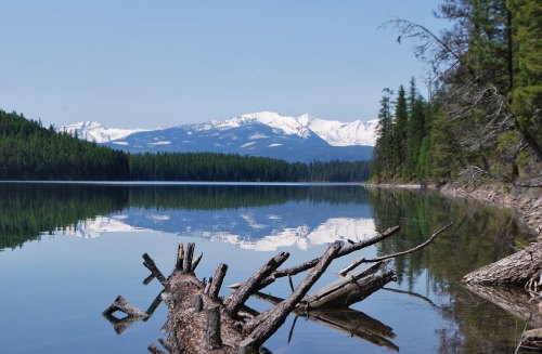 A serene lake reflects snow-capped mountains and lush green trees, with fallen logs in the foreground.