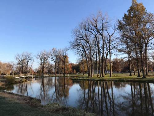 A serene park scene with trees reflecting in a calm pond under a clear blue sky.